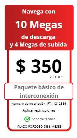 Descripción de la imagen
