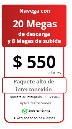 Descripción de la imagen